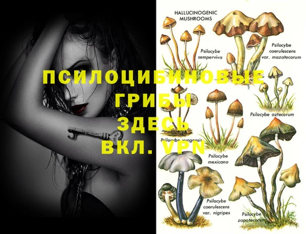 MDMA Корсаков