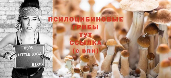 соль ск Коряжма