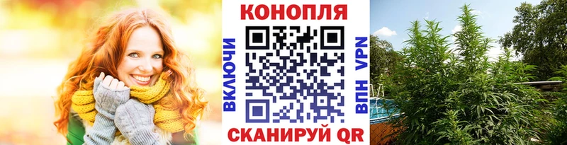 Каннабис гибрид  Киренск 